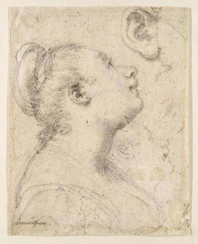 Studio di testa femminile - Metropolitan Museum of Art, New York